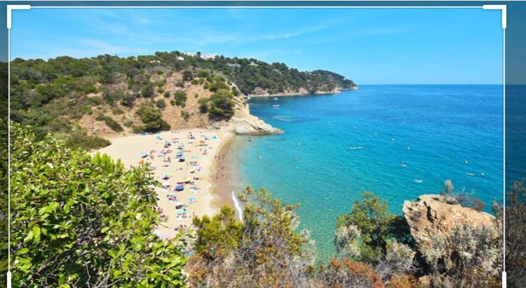Cavalaire Vue Mer Au Loin Maisonnette Tout Equipee Pour 4 Personnes Avec Piscine Clim Wifi Velos Tv Barbecues 외부 사진