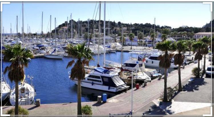 Cavalaire Vue Mer Au Loin Maisonnette Tout Equipee Pour 4 Personnes Avec Piscine Clim Wifi Velos Tv Barbecues 외부 사진
